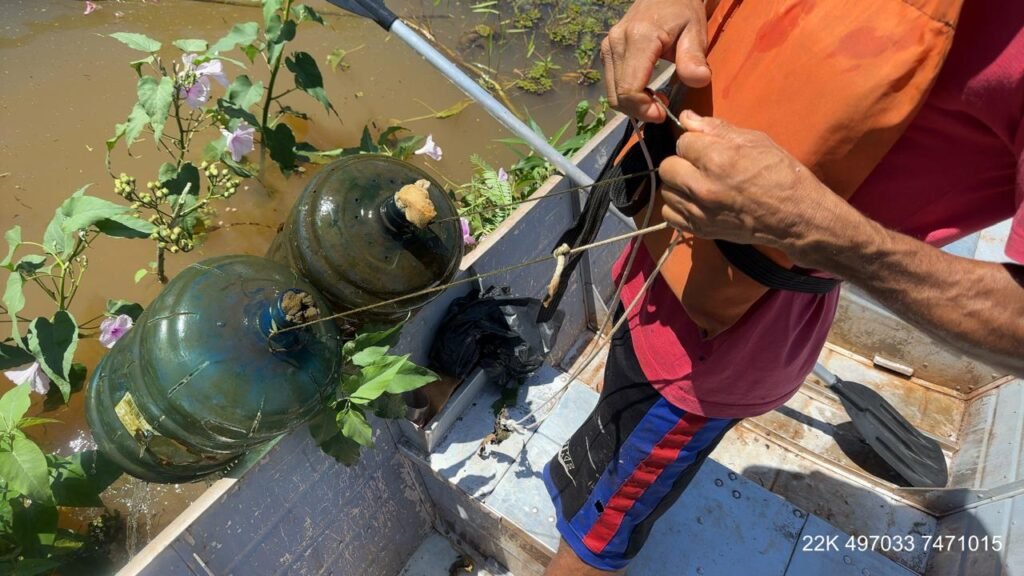 e99f3824-af3f-4cf1-a237-4f56b2137ca4