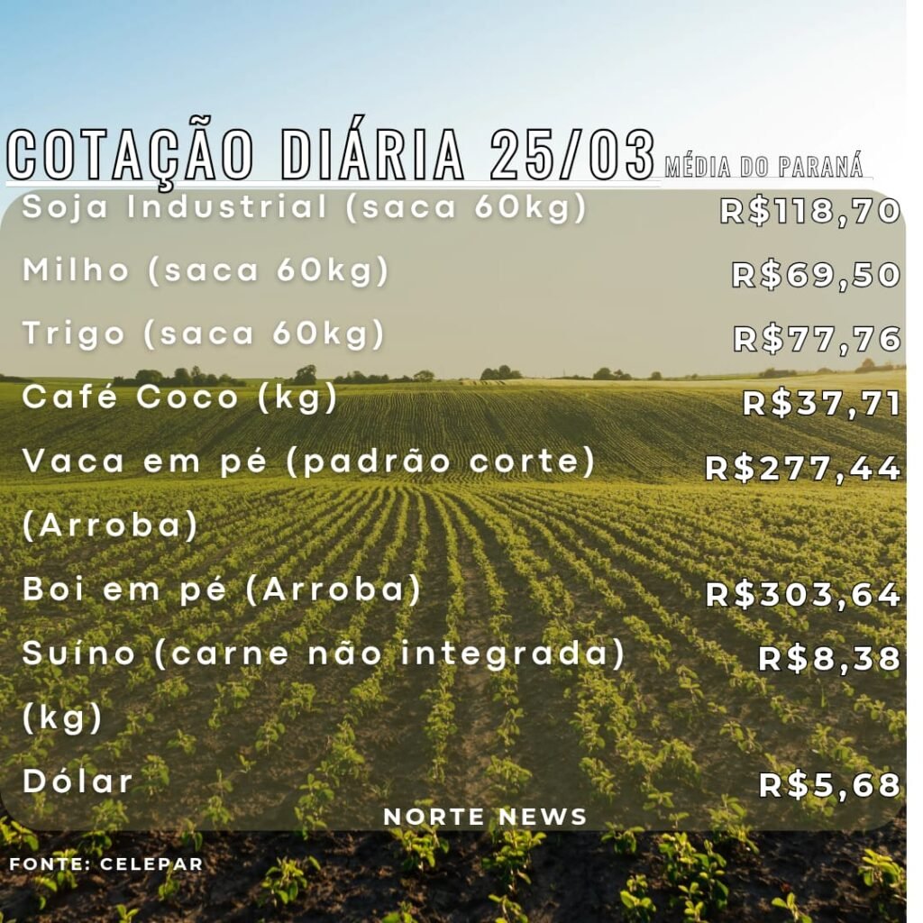 WhatsApp Image 2025-03-25 at 13.05.28