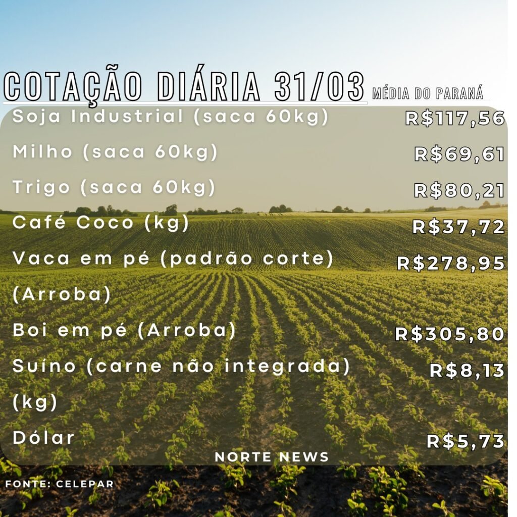 WhatsApp Image 2025-03-31 at 12.19.41